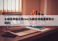 小蚁区块链公司ceo[小蚁区块链是哪家公司的]